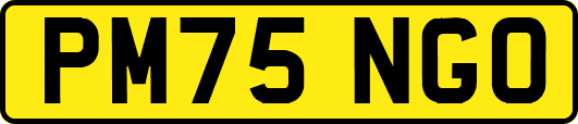 PM75NGO