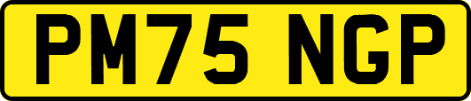 PM75NGP