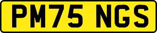 PM75NGS