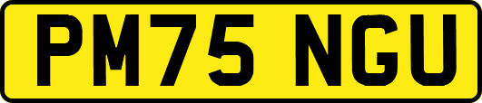 PM75NGU
