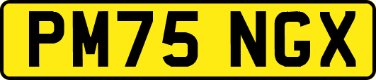 PM75NGX