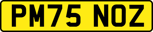 PM75NOZ