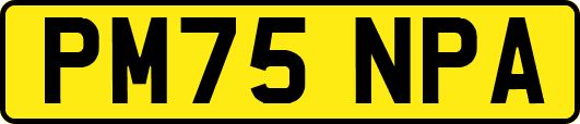 PM75NPA