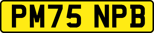 PM75NPB
