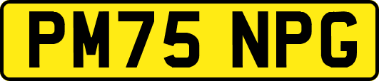 PM75NPG