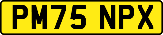 PM75NPX