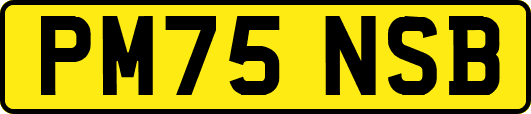 PM75NSB