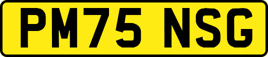 PM75NSG