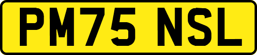 PM75NSL