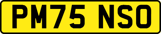 PM75NSO