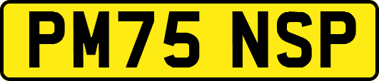 PM75NSP