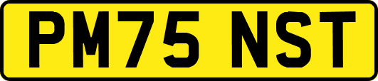 PM75NST