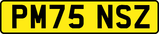 PM75NSZ