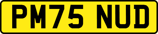 PM75NUD