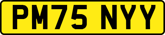 PM75NYY