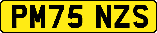 PM75NZS