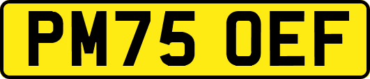 PM75OEF