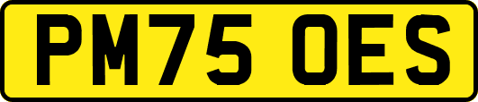 PM75OES