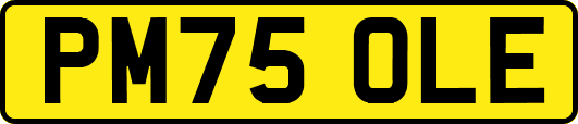 PM75OLE