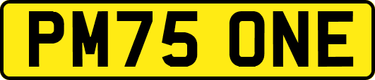 PM75ONE