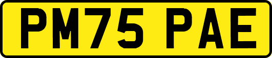PM75PAE