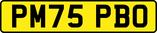 PM75PBO