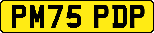 PM75PDP