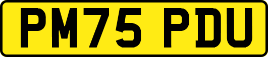 PM75PDU
