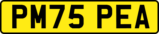 PM75PEA