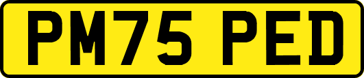 PM75PED