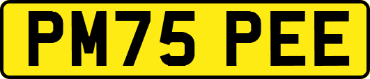 PM75PEE