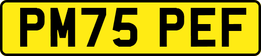 PM75PEF