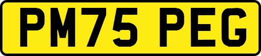 PM75PEG