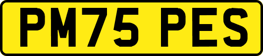 PM75PES