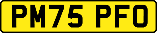 PM75PFO