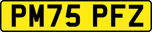 PM75PFZ