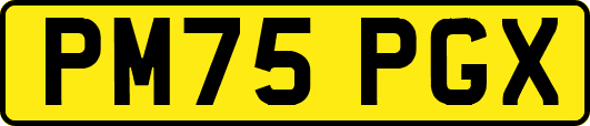 PM75PGX