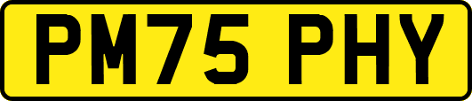 PM75PHY