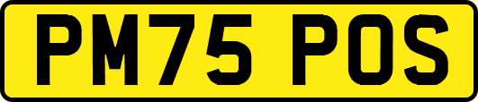 PM75POS