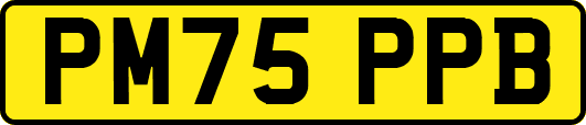 PM75PPB