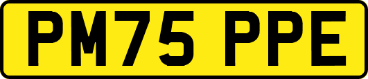 PM75PPE