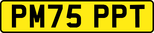 PM75PPT