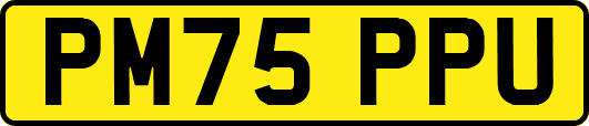 PM75PPU
