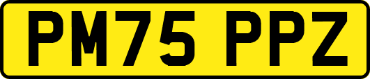 PM75PPZ