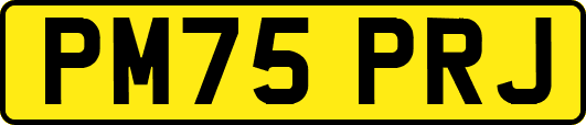 PM75PRJ