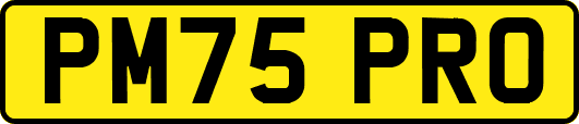 PM75PRO