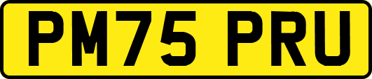 PM75PRU