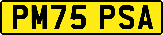 PM75PSA