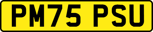 PM75PSU
