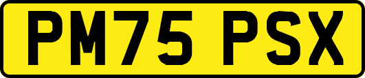 PM75PSX